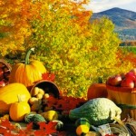 healthy fall foods